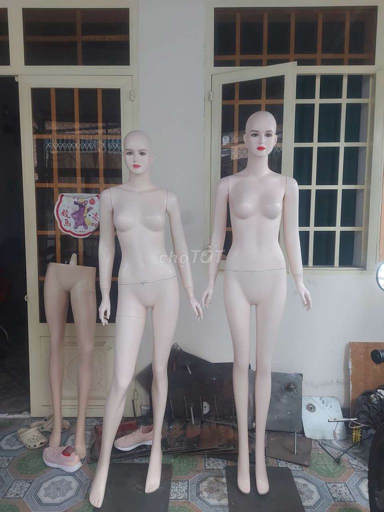 manacanh, manơcanh, ma nơ canh, ma-nơ-canh . Mua bán Đồ chuyên dụng, Giống nuôi trồng tại Quận 7 Tp Hồ Chí Minh được đăng bởi Thanhhuu hình 1