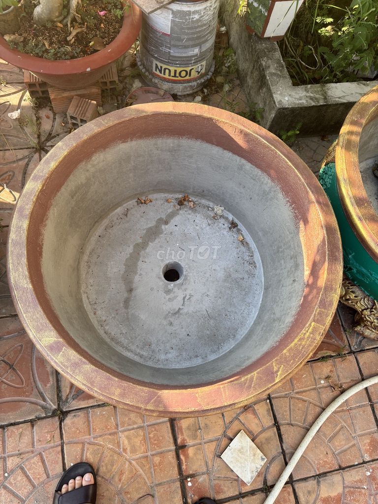 Chậu kiểng Xi măng Nâu Xanh Vàng. Mua bán Cây cảnh, đồ trang trí tại Quận Ninh Kiều Cần Thơ được đăng bởi Tên chưa cung cấp hình 1