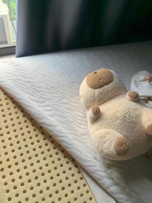 đệm cao su. Mua bán Giường, chăn ga gối nệm tại Quận Bắc Từ Liêm Hà Nội được đăng bởi Thao Diệp