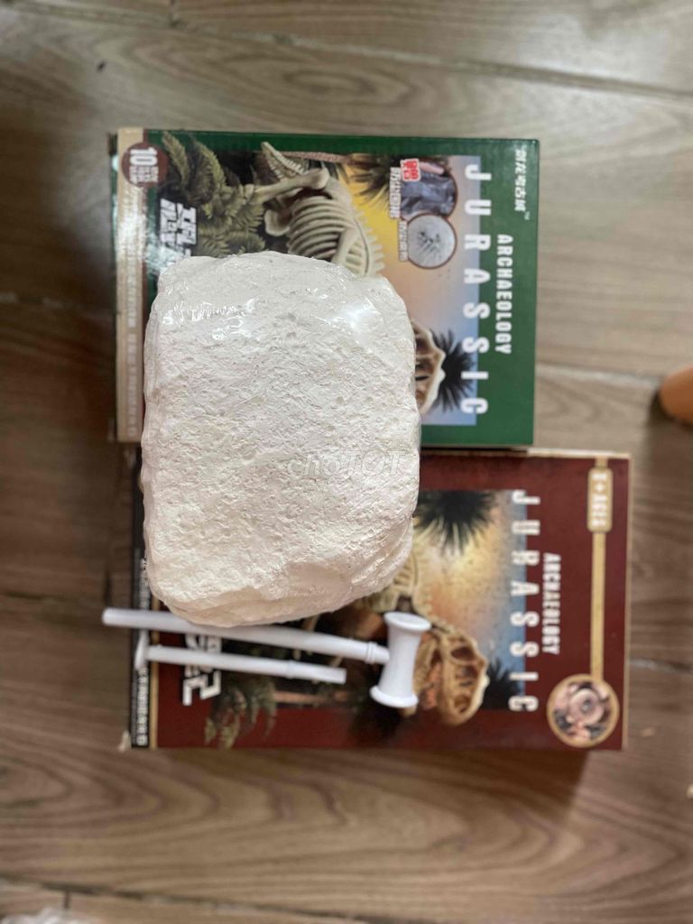 đồ chơi đập tìm xương khủng long. Mua bán Thiết bị chơi game tại Huyện Đông Anh Hà Nội được đăng bởi Le Tra My hình 1