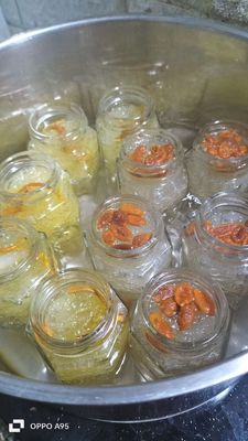 yến hũ chưng sẵn. Mua bán Đồ ăn, thực phẩm và các loại khác tại Thành phố Thủ Đức Tp Hồ Chí Minh được đăng bởi Phạm Thị Thoa