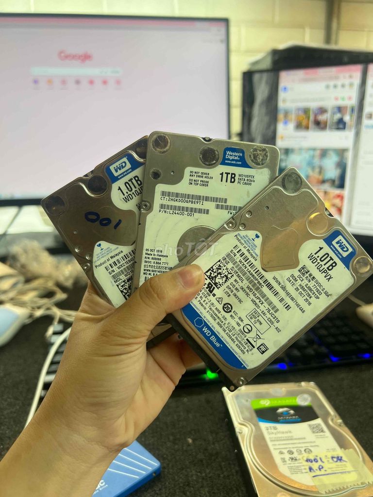 Ổ cứng HDD Western Digital 1TB 2.5 inch đã sử dụng. Mua bán Linh kiện (RAM, Card...) tại Quận Phú Nhuận Tp Hồ Chí Minh được đăng bởi tiến tài 770 nguyễn kiệm p4 quận phú nhuận hình 1