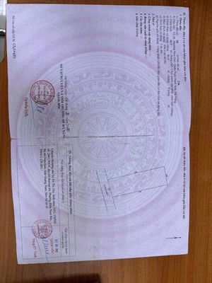 Đất kiệt oto Hoà Quý giá rẻ nhất thị trường. Mua bán đất tại Quận Ngũ Hành Sơn Đà Nẵng được đăng bởi Mai Xuân Nghĩa 