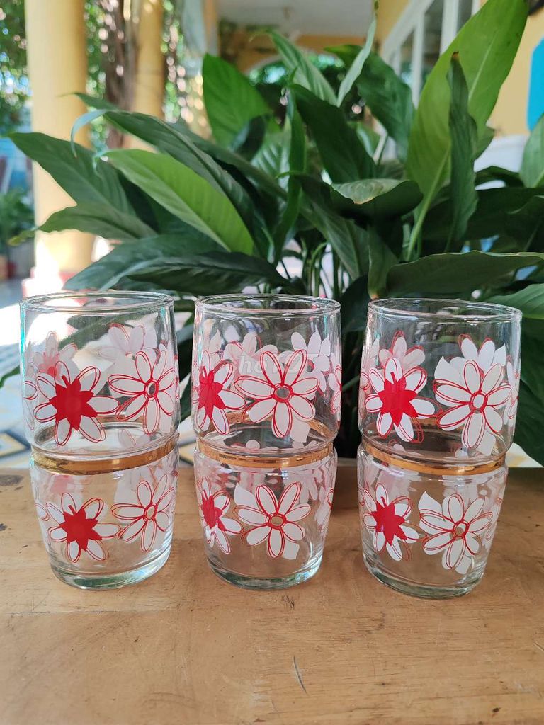 Cốc thủy tinh hoa 6.5x13cm. Mua bán Dụng cụ nhà bếp tại Quận 7 Tp Hồ Chí Minh được đăng bởi Vy Vy hình 1