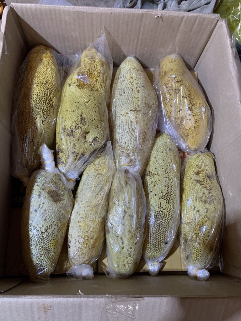 Mật ong ruồi Đắk Lắk hàng rừng. Mua bán Đồ ăn, thực phẩm và các loại khác tại Quận 10 Tp Hồ Chí Minh được đăng bởi Phạm Tú hình 1