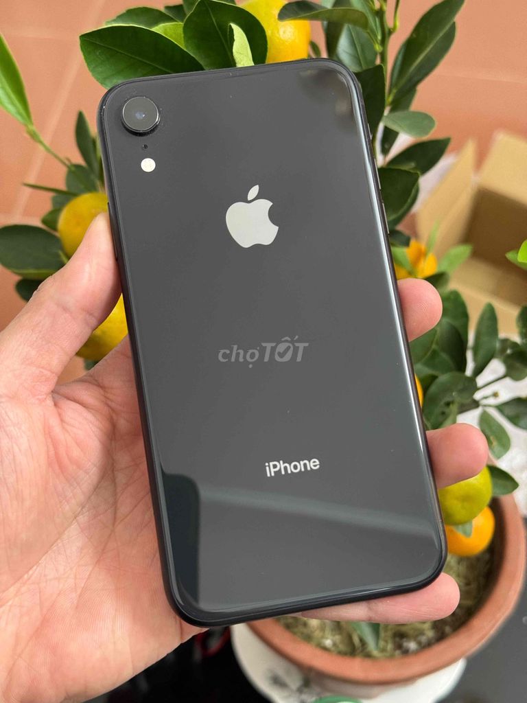 Apple iPhone XR 64GB Đen Quốc tế MDM cần bán lại. Mua bán Điện thoại tại Thành phố Đà Lạt Lâm Đồng được đăng bởi nhanh gọn lẹ hình 1