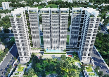 NOXH Sun Riverside Quận 7