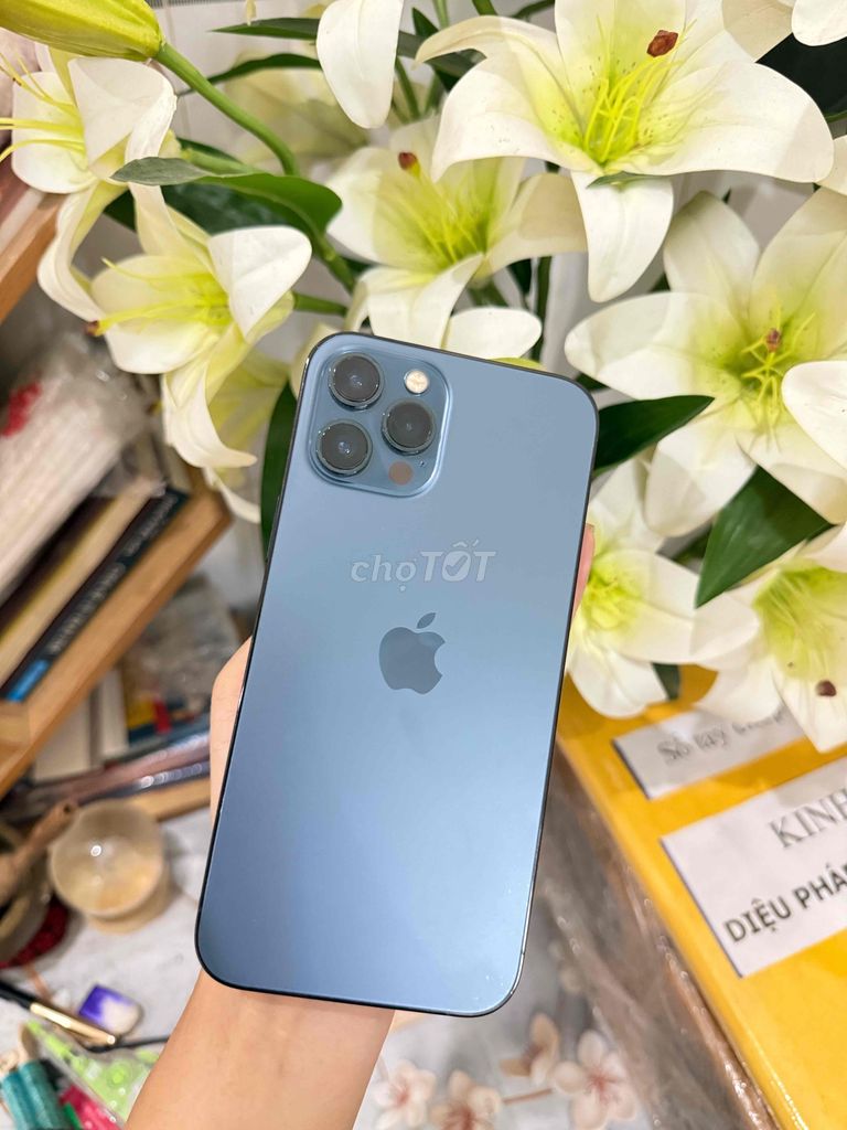 Apple iPhone 12 Pro Max 128GB Xanh. Mua bán Điện thoại tại Thành phố Thủ Dầu Một Bình Dương được đăng bởi NGỌC LÊ hình 1