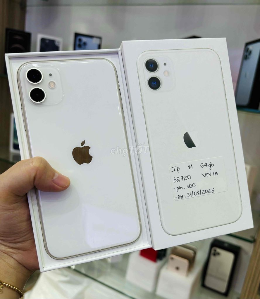 Iphone 11 64gb VN Fullbox pin 100 bh 31/08/2025