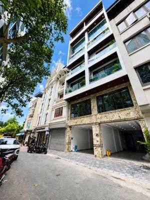 Penthouse in Long Biên
