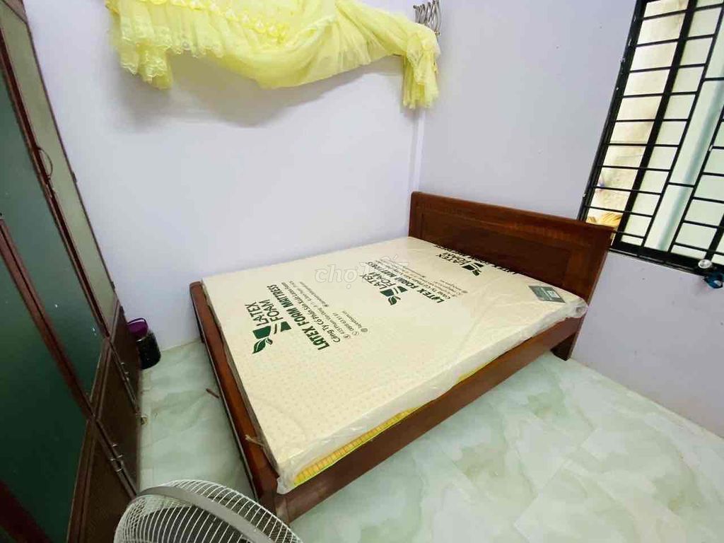 Nệm Cao Su Thiên Nhiên Latex Foam 1m6 dày 10cm