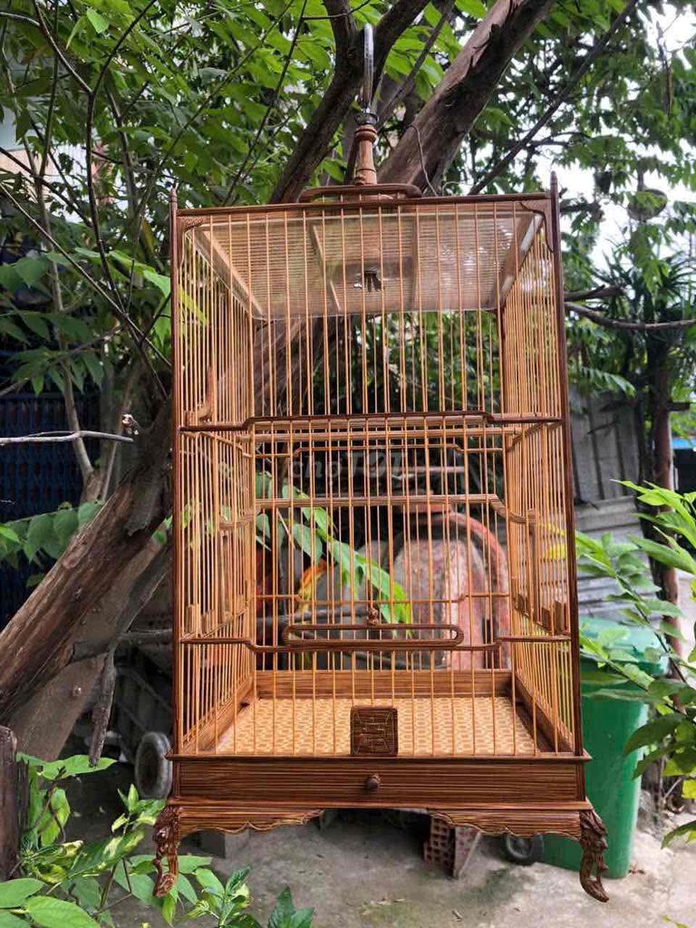 ae nào cần thanh lý vuông hm đẹp ib. Mua bán Phụ kiện, Thức ăn, Dịch vụ tại Quận Bình Thạnh Tp Hồ Chí Minh được đăng bởi phong lê hình 1