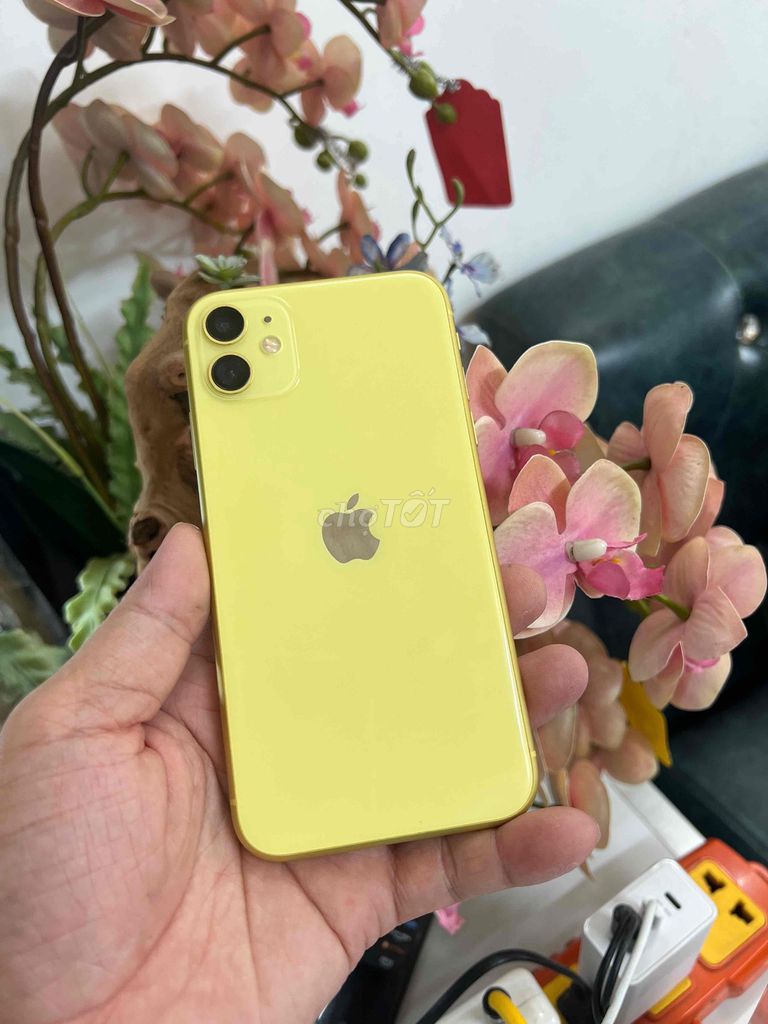 Apple iPhone 11 128GB Vàng quốc tế. Mua bán Điện thoại tại Thành phố Buôn Ma Thuột Đắk Lắk được đăng bởi Tèo Điện Thoại  hình 1