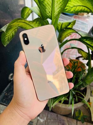 iPhone XS Max 64G QT Gold Pin 98% Zin Full Cn. Mua bán Điện thoại tại Quận Ninh Kiều Cần Thơ được đăng bởi Nhựt Mobile