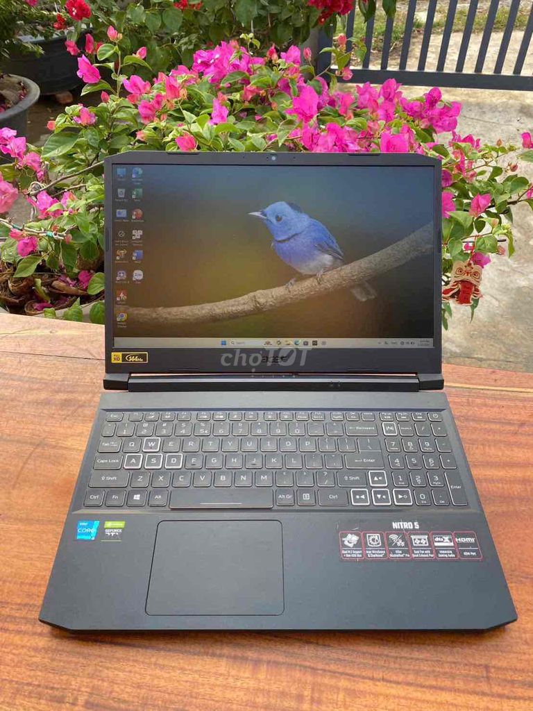 Acer Nitro 5 i7 ram16gb ssd512gb 15.6inch Rtx 3050. Mua bán Laptop tại Huyện Long Hồ Vĩnh Long được đăng bởi Ngà Trần hình 1