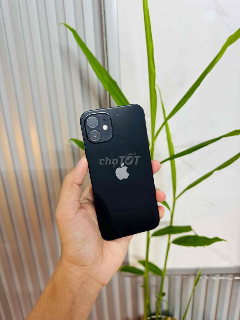 iPhone 12 64G Quốc Tế Full. Mua bán Điện thoại tại Quận Thanh Khê Đà Nẵng được đăng bởi Ri Phone hình 1