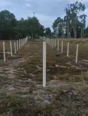 612m2 đất trồng cây hàng năm khác