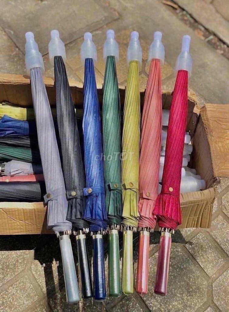 Dù Chống lật 16 nan Đa màu. Mua bán Phụ kiện thời trang khác tại Thành phố Huế Thừa Thiên Huế được đăng bởi chi hình 1