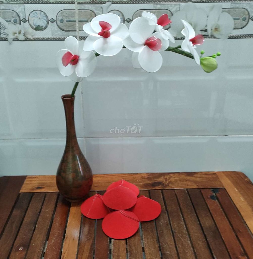 Hoa Lan Hồ Điệp Trắng 5 bông/cành. Mua bán Cây cảnh, đồ trang trí tại Quận 7 Tp Hồ Chí Minh được đăng bởi Trang la Bella hình 1