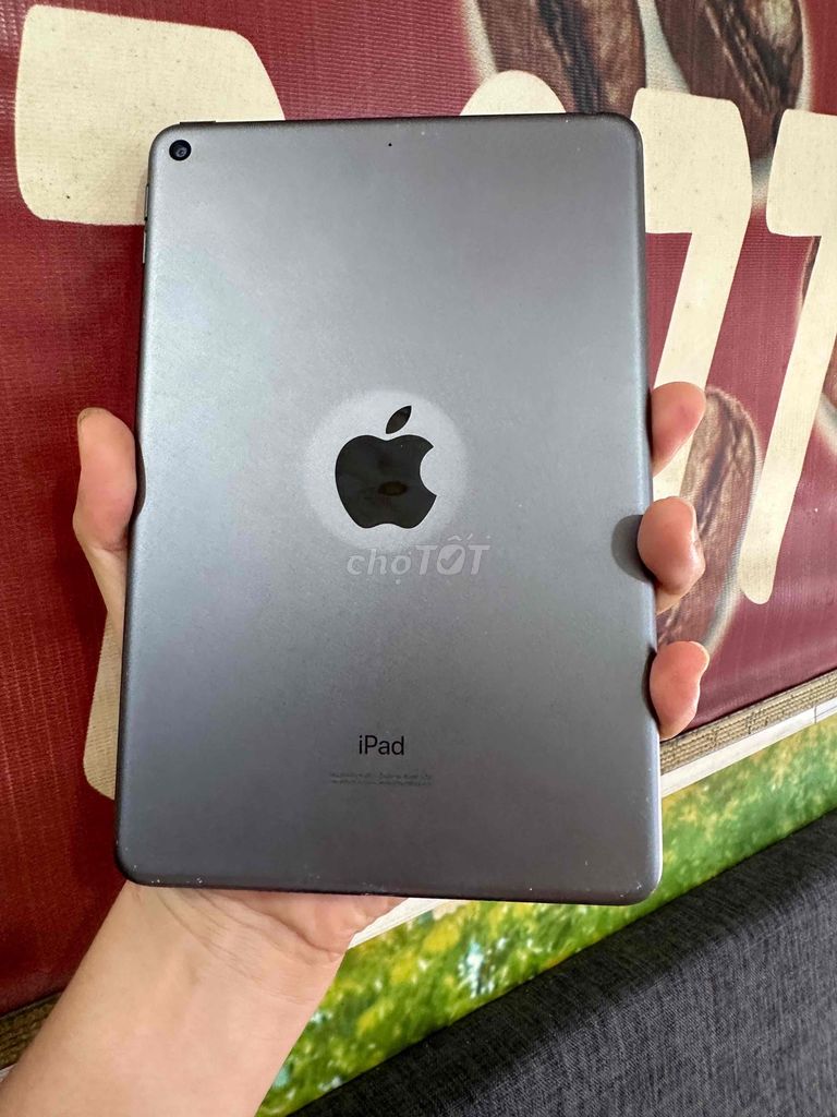 ipad mini 5 64g pin 98%