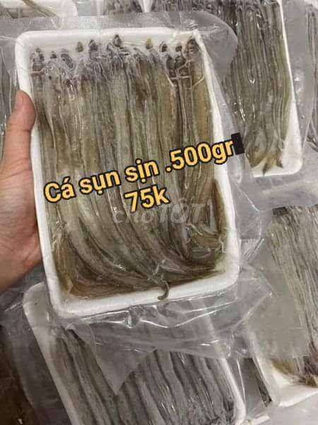 Cá sụn sịn .500gr . 𝟕𝟓.𝟎𝟎𝟎đ