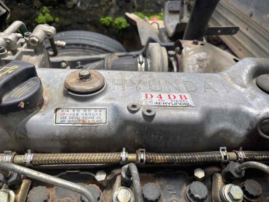 Ảnh số 4
