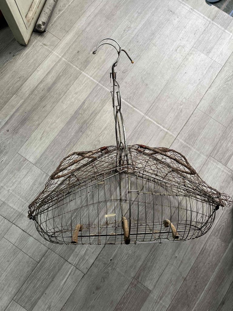 Lồng bẫy chim chào mào. Mua bán Phụ kiện, Thức ăn, Dịch vụ tại Quận Bình Tân Tp Hồ Chí Minh được đăng bởi Hải Đăng hình 1