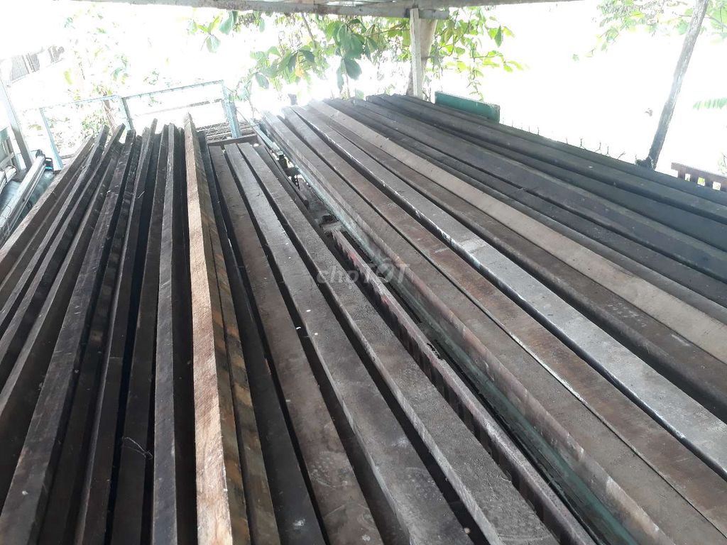 Cây gỗ 4x8