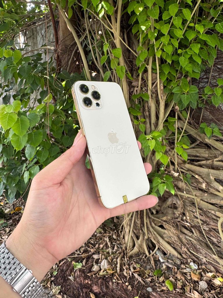 Apple iPhone 12 Pro Max 128GB Vàng Đã sử dụng. Mua bán Điện thoại tại Thành phố Vũng Tàu Bà Rịa - Vũng Tàu được đăng bởi BINHHYK  hình 1