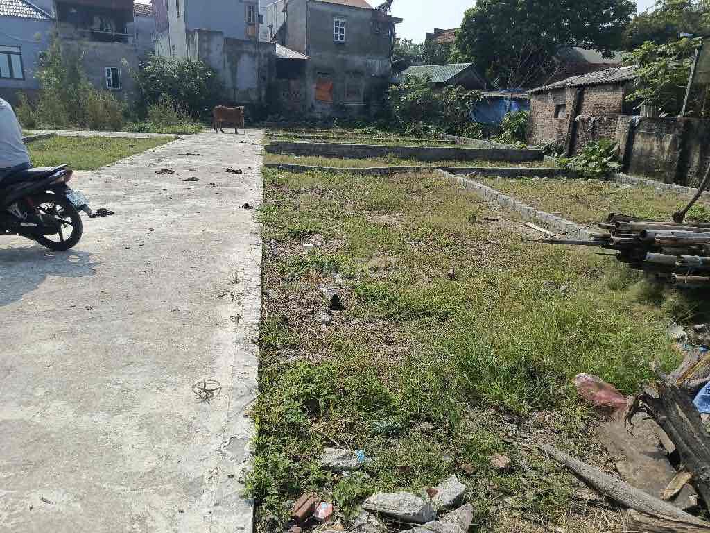 48 m tho  cư tại Thống Nhất- Thường Tín. Mua bán đất tại Huyện Thường Tín Hà Nội được đăng bởi Nguyễn viết Phong  hình 3