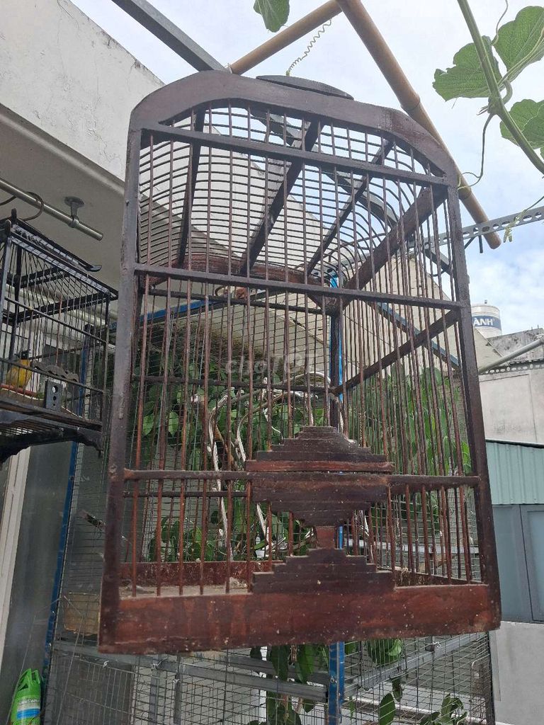 Lồng chim gỗ màu nâu. Mua bán Phụ kiện, Thức ăn, Dịch vụ tại Quận 3 Tp Hồ Chí Minh được đăng bởi Phi Nguyễn hình 1