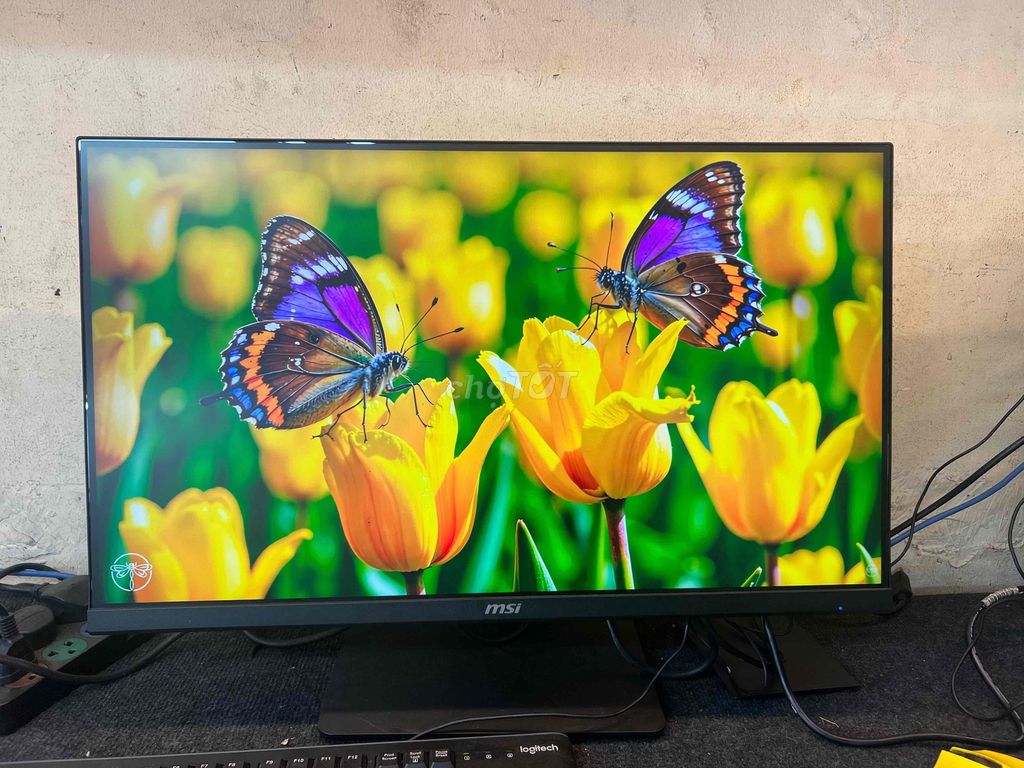 Màn hình MSI 27 inch 2k màn đẹp chuẩn. Mua bán Phụ kiện (Màn hình, Chuột...) tại Quận Phú Nhuận Tp Hồ Chí Minh được đăng bởi tiến tài 770 nguyễn kiệm p4 quận phú nhuận hình 1