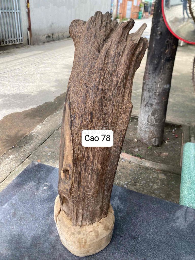 Gỗ phong thủy Gỗ 78 cm. Mua bán Đồ sưu tầm, đồ cổ tại Quận 12 Tp Hồ Chí Minh được đăng bởi Tường Vy hình 1