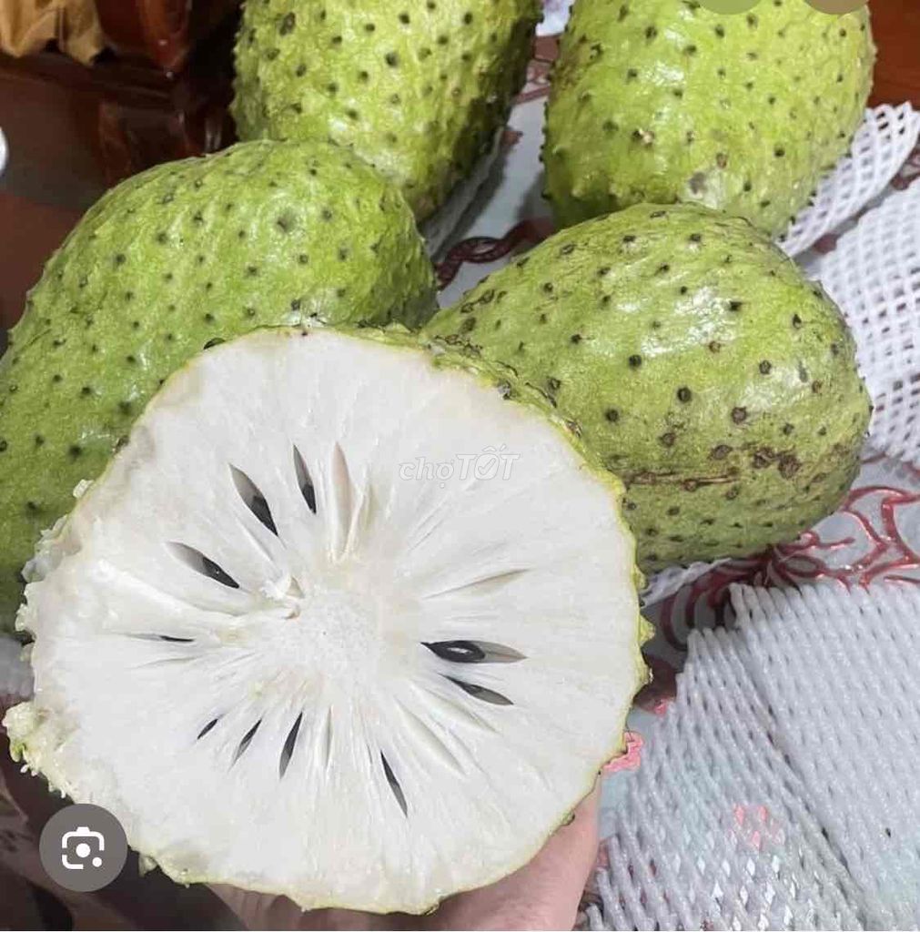 Cây giống Mãng cầu Xiêm Thái. Mua bán Đồ chuyên dụng, Giống nuôi trồng tại Huyện Cái Bè Tiền Giang được đăng bởi Võ Minh Luân hình 1