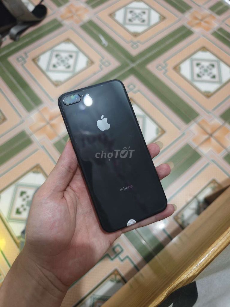 8plus quốc tế main và màn zin full cn