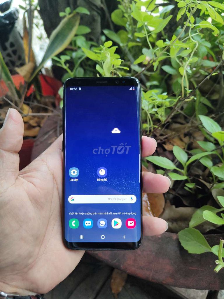 Samsung Galaxy S8 ram4/64 màn cong cực đẹp zin . Mua bán Điện thoại tại Quận Ninh Kiều Cần Thơ được đăng bởi minh phát hình 1