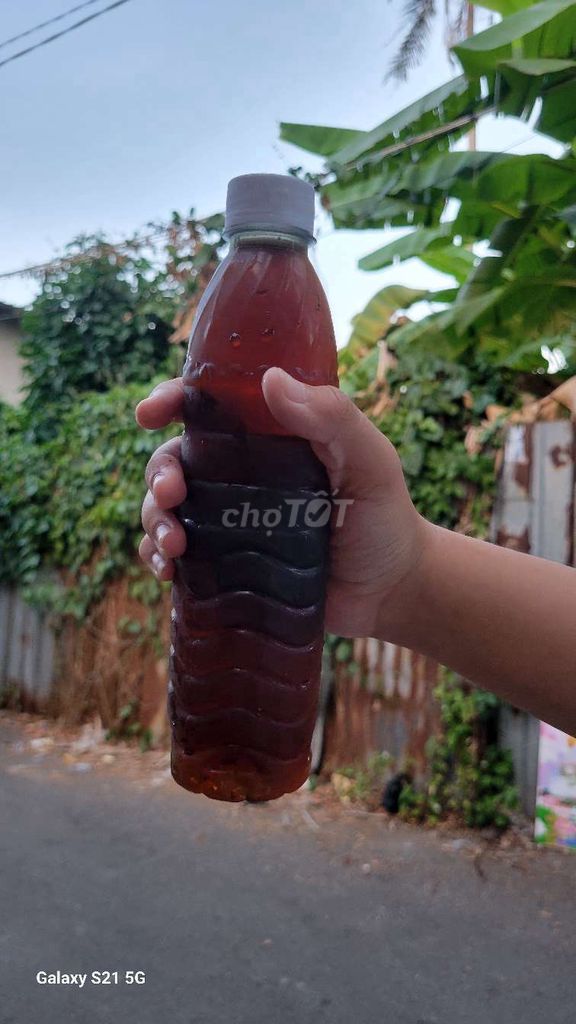 Sâm Atiso đường phèn 500ml. Mua bán Đồ ăn, thực phẩm và các loại khác tại Quận Bình Thuỷ Cần Thơ được đăng bởi Lan Thanh hình 1