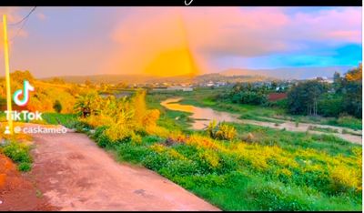 Chính chủ bán homestay gần Đà Lạt, có thể bán 1 nửa