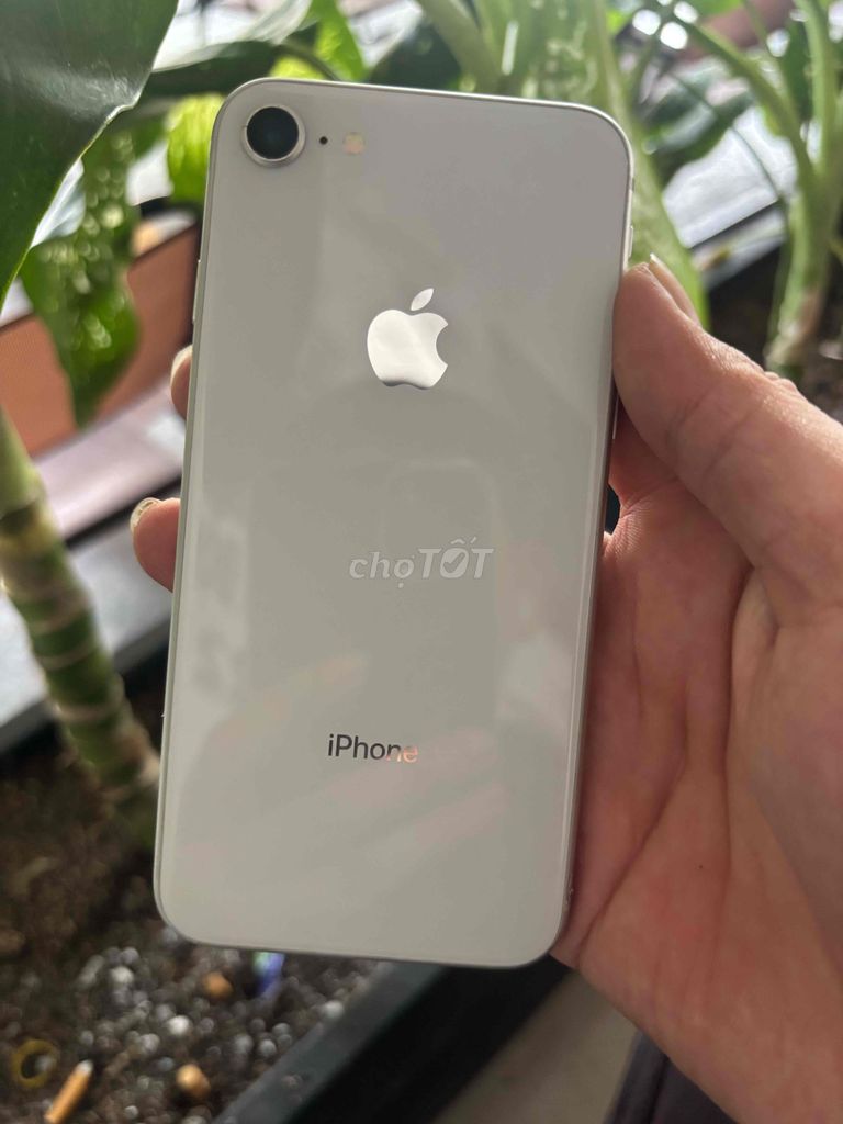Apple iPhone 8G 64GB trắng. Mua bán Điện thoại tại Quận Bình Tân Tp Hồ Chí Minh được đăng bởi Bình Tân hình 1