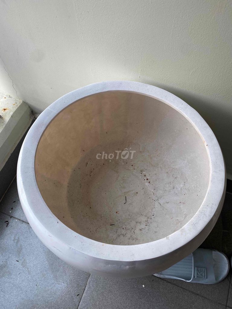 Chậu trồng cây sứ trắng. Mua bán Cây cảnh, đồ trang trí tại Thành phố Dĩ An Bình Dương được đăng bởi HUY ANH hình 1