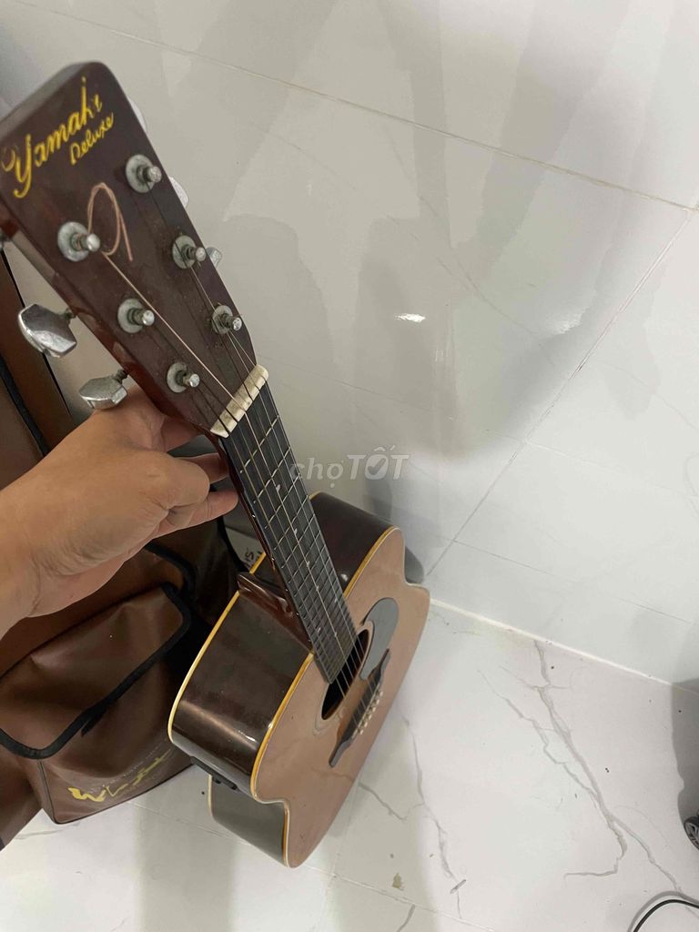 Cần bán guitar nhật auscotic