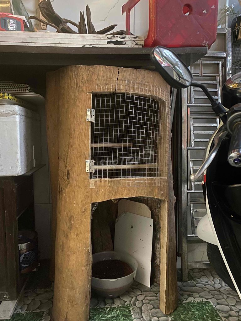 Lồng chim Vẹt gỗ lũa. Mua bán Phụ kiện, Thức ăn, Dịch vụ tại Quận Thanh Khê Đà Nẵng được đăng bởi Tuan anh hình 1