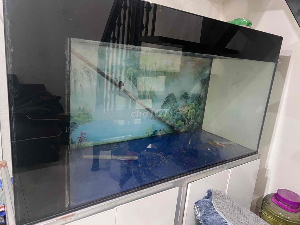 Bể cá cảnh 1440x765x540mm. Mua bán Phụ kiện, Thức ăn, Dịch vụ tại Quận Bắc Từ Liêm Hà Nội được đăng bởi Tên chưa cung cấp hình 1