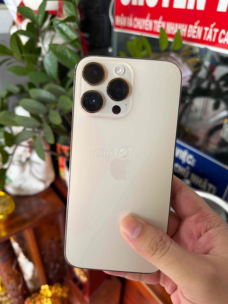iPhone 14 Pro Max 256GB Gold LL/A zin all. Mua bán Điện thoại tại Huyện Hóc Môn Tp Hồ Chí Minh được đăng bởi Cá Heo hình 1