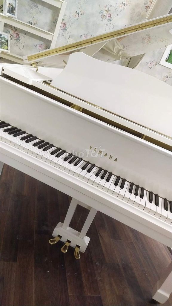 Cần bán piano cơ G2F, số serial hơn 5 triệu