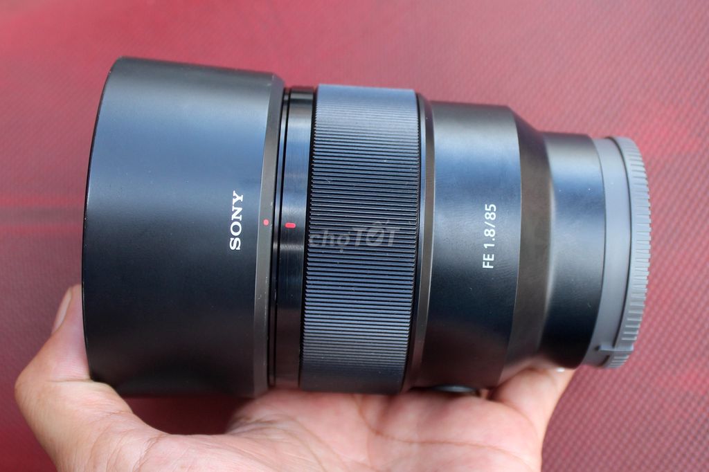 Sony 85mm F1.8FE đẹp