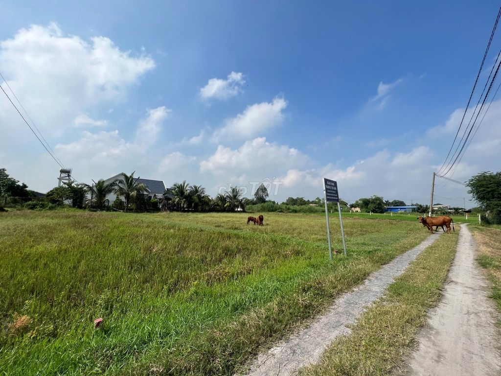 Ngân hàng phát mãi lô đất 672,8m2 full thổ cư giá rẻ. Mua bán đất tại Huyện Đức Hòa Long An được đăng bởi Dương Chuyên tài sản Thanh lý Ngân hàng hình 1