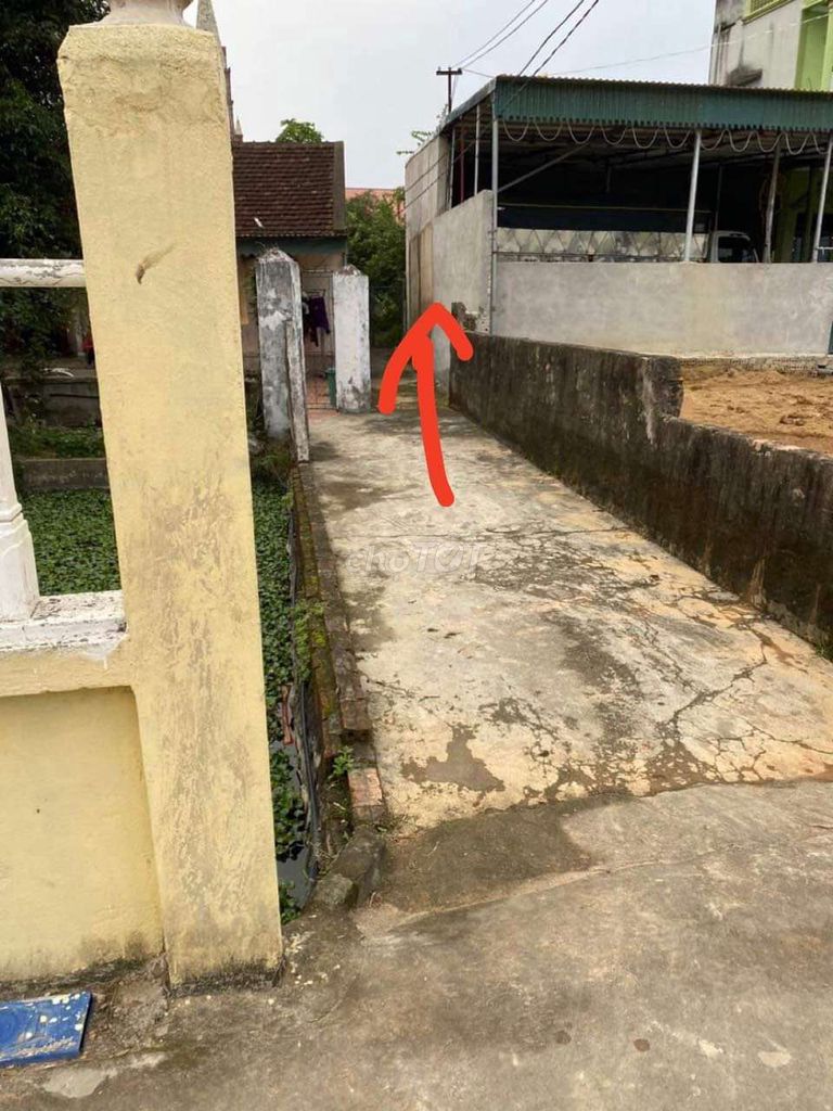 600M ĐẤT THỔ CƯ TP THANH HÓA GIÁ SIÊU ĐẦU TƯ. Mua bán đất tại Huyện Đông Sơn Thanh Hóa được đăng bởi Minh Dung Nguyen hình 3