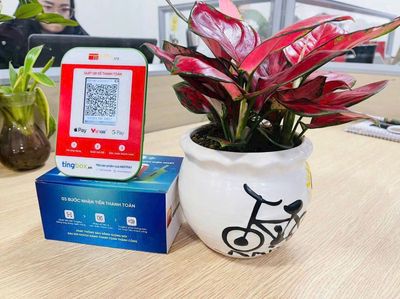 Tingbox Loa thông báo chuyển khoản. Mua bán Tivi, Âm thanh tại Thành phố Đồng Xoài Bình Phước được đăng bởi Điền
