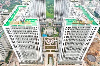 Giám sát nhân viên tạp vụ